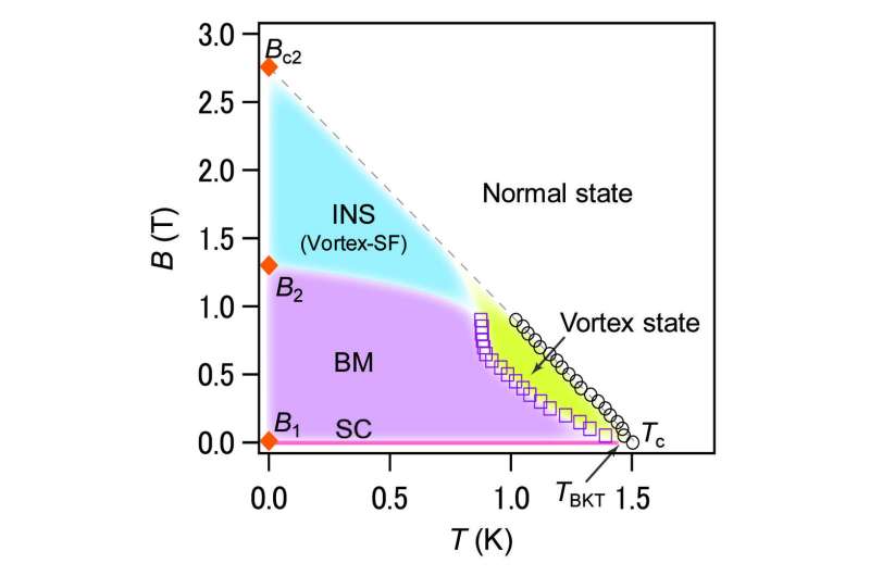 A peculiar ground-state phase for superconductor NbSe2 -- It's a Bose metal!