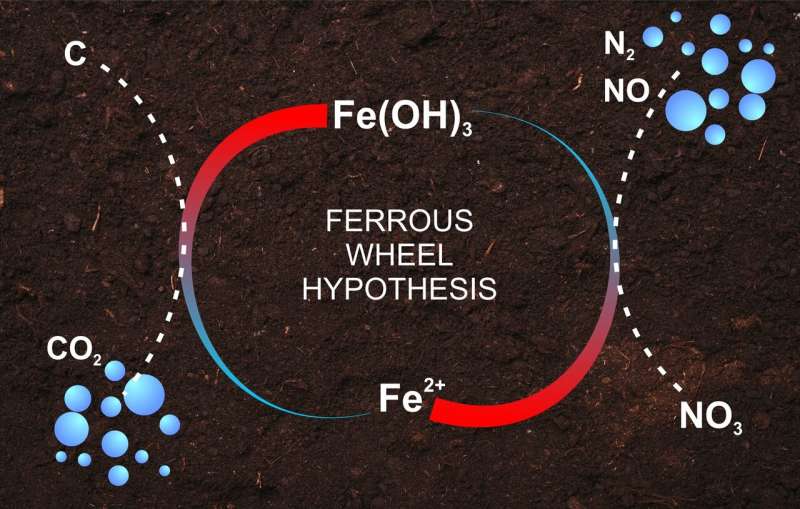 A RUDN Agrochemist Found Proof of the Ferrous Wheel Hypothesis