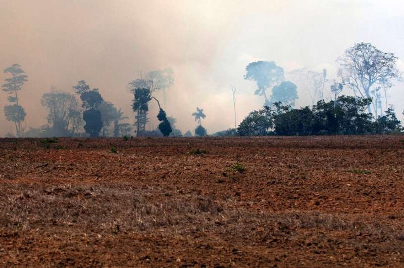 A smoke cloud is seen over a burnt area after a fire in the Amazon rainforest, in Novo Progresso, Para state, Brazil, on August 