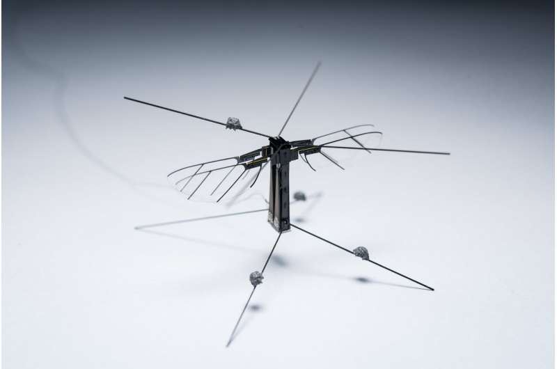 A unifying approach for controlling flying robotic insects