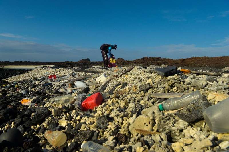 A volunteer collects plastic waste on remote Isabela Island in the Galapagos archipelago in February 2019
