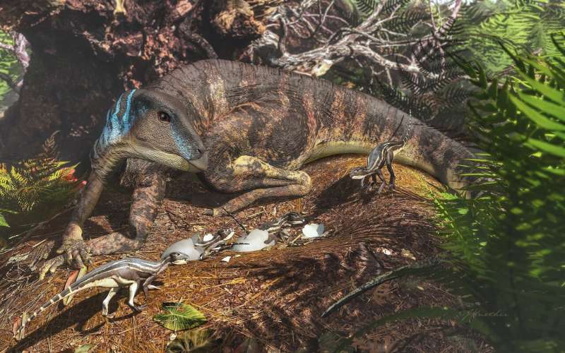 Baby dinosaurs found in Australia