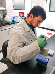 Better genome editing for bioenergy