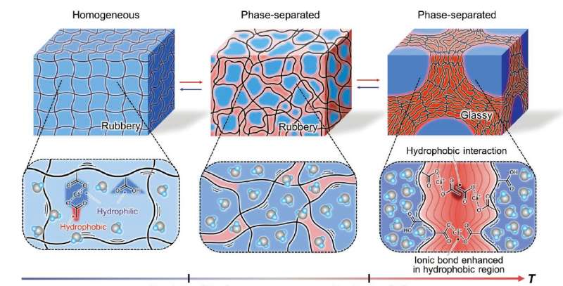 Bio-inspired hydrogel can rapidly switch to rigid plastic