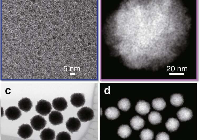 Bio-inspired nano-catalyst guides chiral reactions