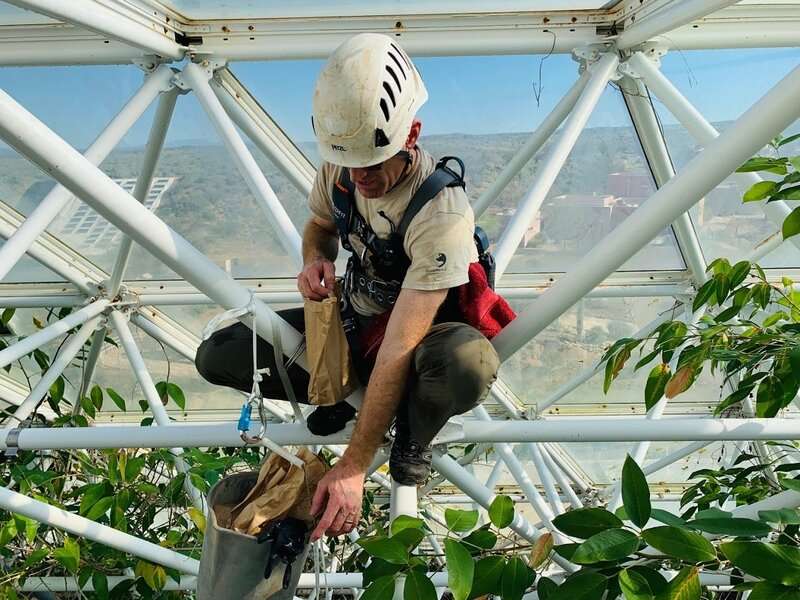 Biosphere 2 rain forest closed during drought experiment