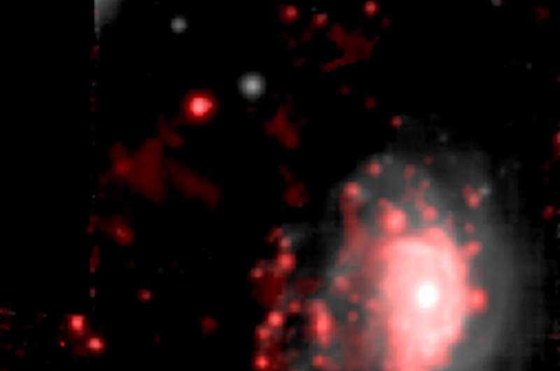 Black hole brings down curtain on jellyfish galaxy's star turn
