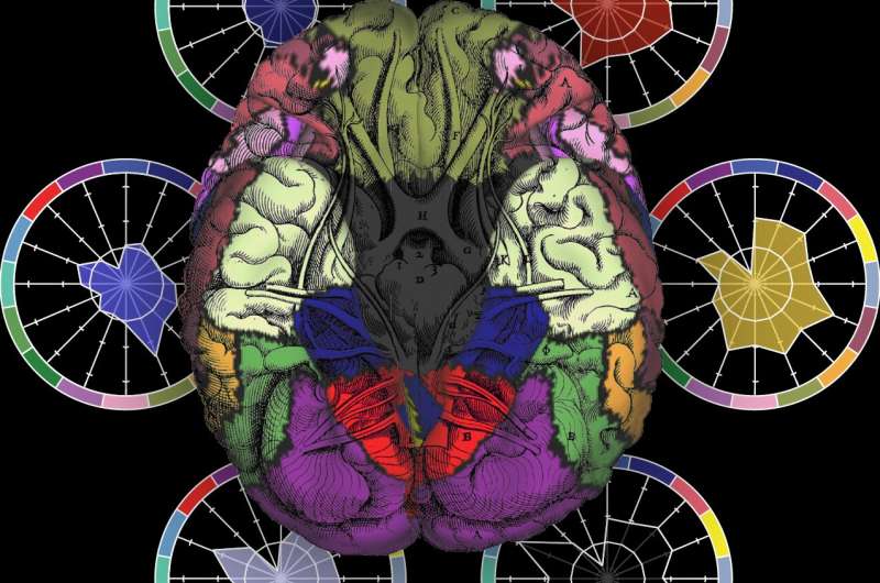 Brain researchers seek 'fingerprints' of severe mental diseases