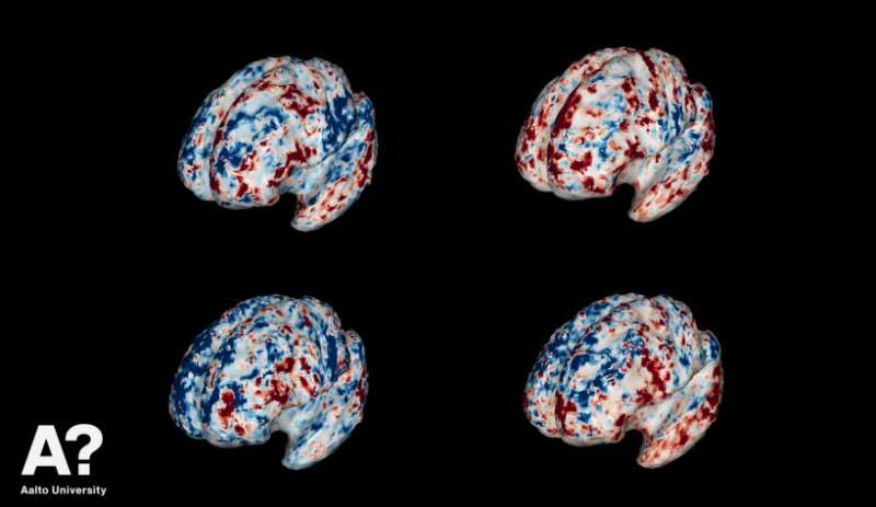 Brain scans reveal how people understand objects in our world