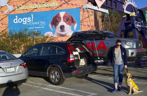 California science exhibit explains the dog-human friendship