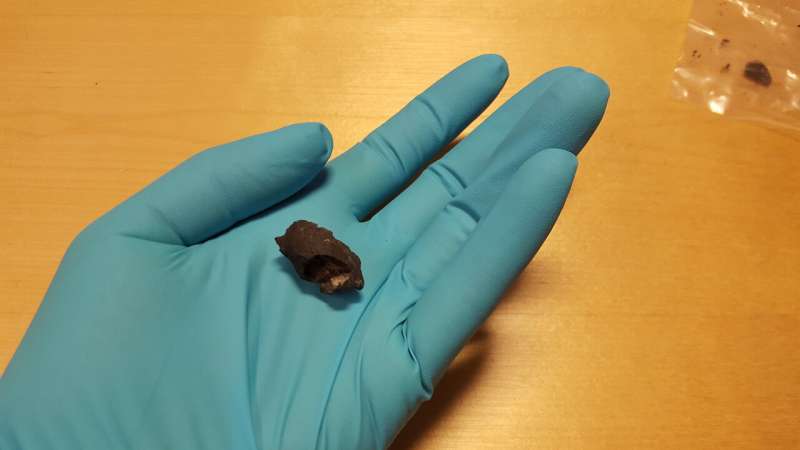 Chewing gums reveal the oldest Scandinavian human DNA