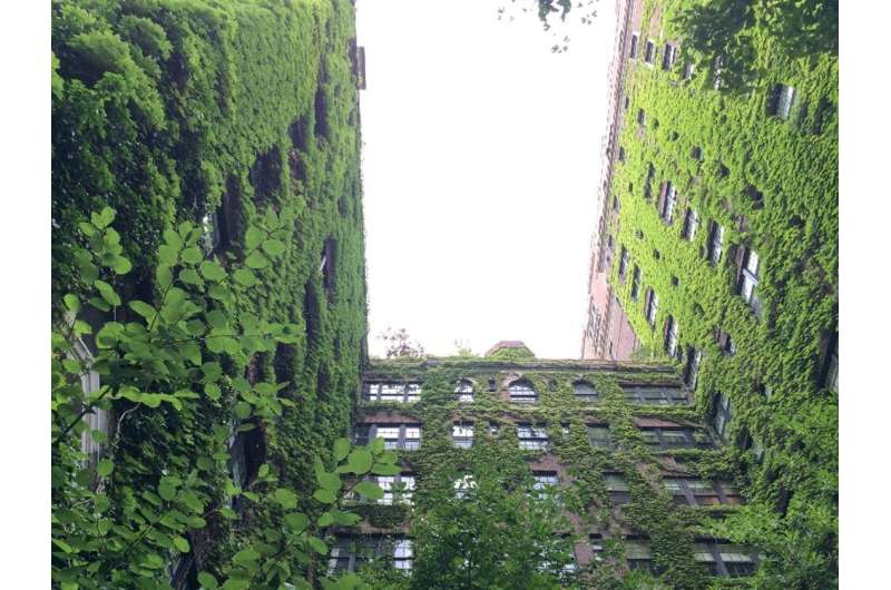 Circular cities of the world: what can green infrastructure do?