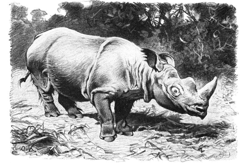 Cultural evolution caused broad-scale historical declines of large mammals across China