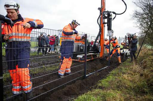 Danes erect fence on German border to stop swine fever