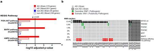 Deciphering brain somatic mutations associated with Alzheimer's disease