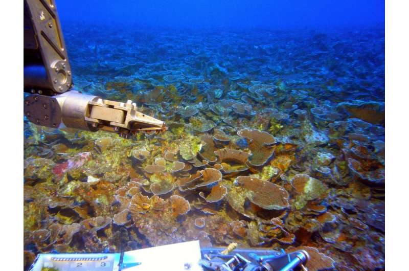 Deep submersible dives shed light on rarely explored coral reefs