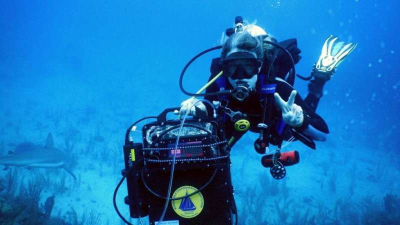 DISCO allows scientists to measure highly reactive superoxide on coral reefs