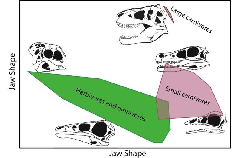 Discriminating diets of meat-eating dinosaurs