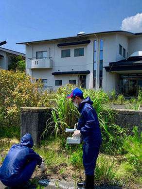 Distribution and origin of highly radioactive microparticles in Fukushima revealed
