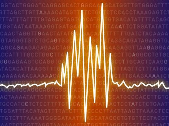 DNA sequencing study suggests common genetic basis for epilepsy