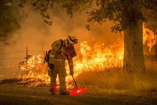 Efforts to clear fire-prone California forests face hurdles