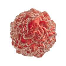 Engineered T cells may be harnessed to kill solid tumor cells