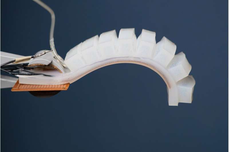 Engineers build a soft robotics perception system inspired by humans