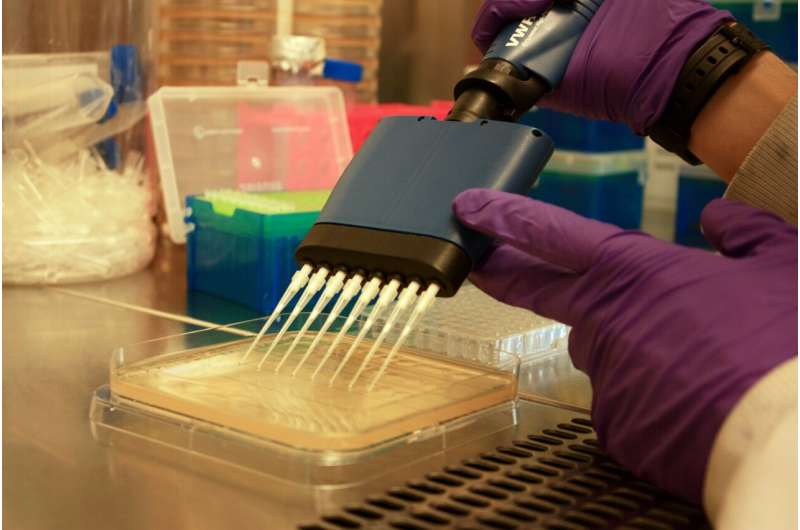 Evolving alongside other bacteria keeps hospital bug potent