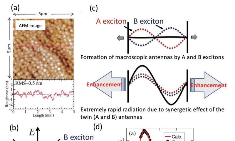 Excitonic radiative decay faster than thermal dephasing in ZnO thin films