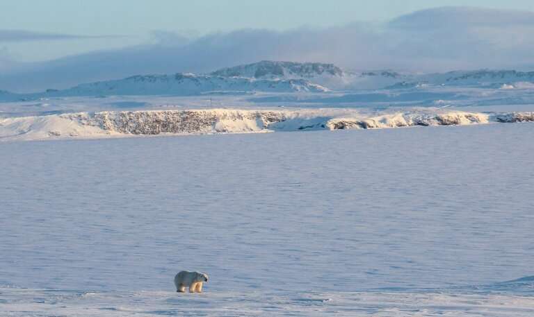 Experts think a recent invasion by polar bears of a Russian village in the Arctic was due to the late freezing of the sea that p