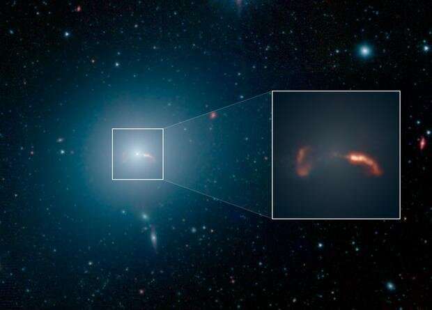 Eyeballing a black hole's mass