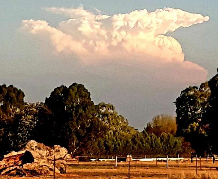 Firestorms and flaming tornadoes: how bushfires create their own ferocious weather systems