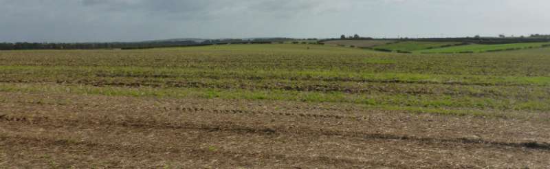 First proof that the clock is ticking on British farm soils