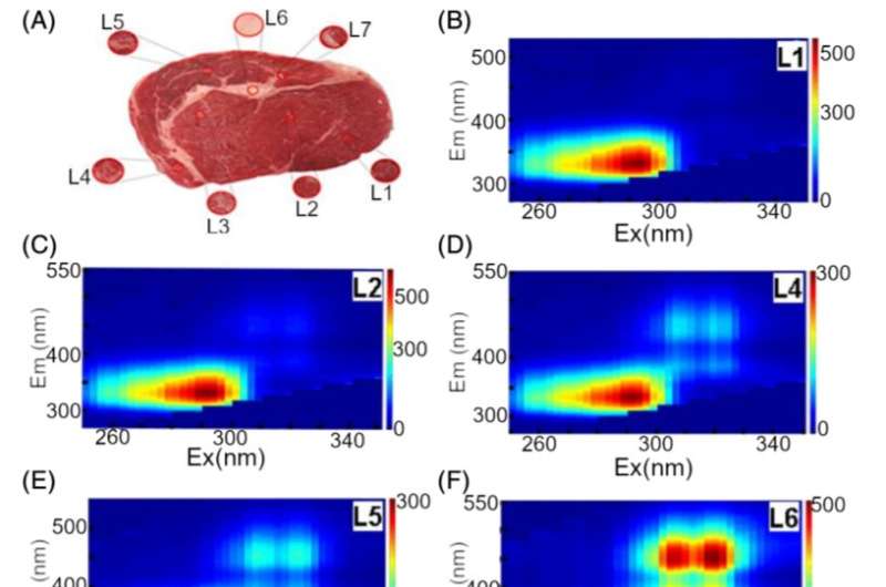 Fluorescence spectroscopy helps to evaluate meat quality