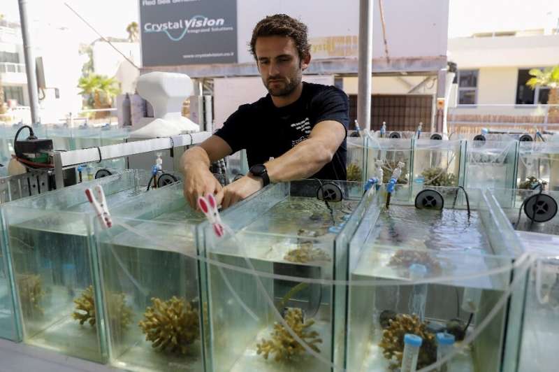 French marine biologist Guilhem Banc-Prandi (pictured), who has founded the NGO WeSea, is working on a doctorate and studies the