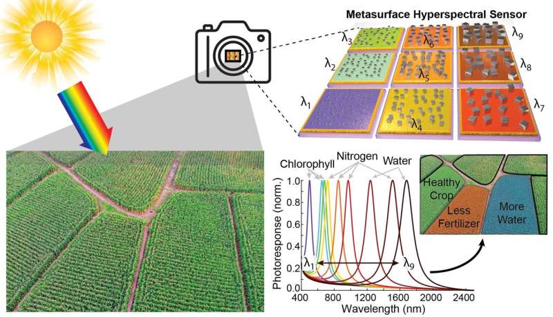 Harnessing plasmonics for precision agriculture worldwide