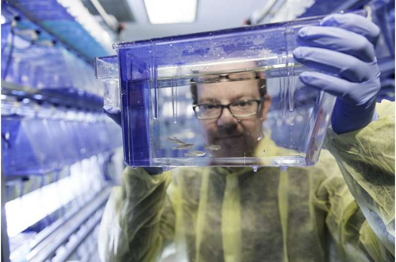 Have microscope, will travel: New tech project links Madison, Boston scientists