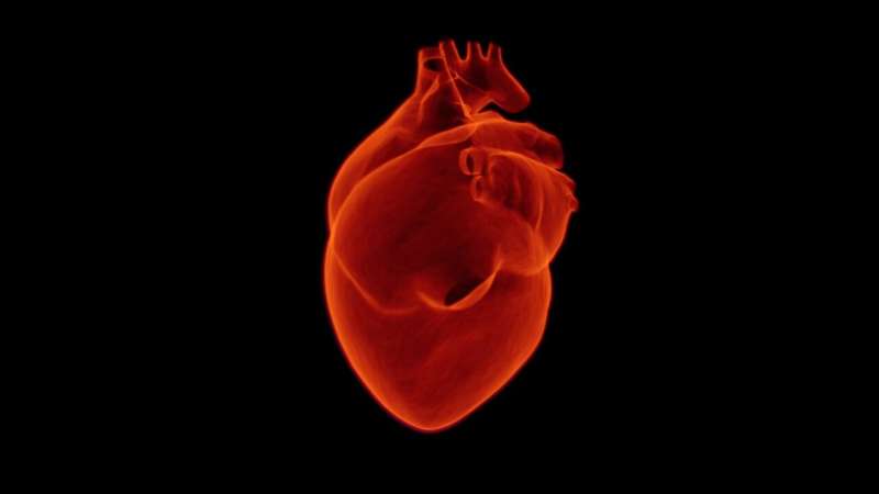Heart failure patients in UK do not receive the long-term care they need