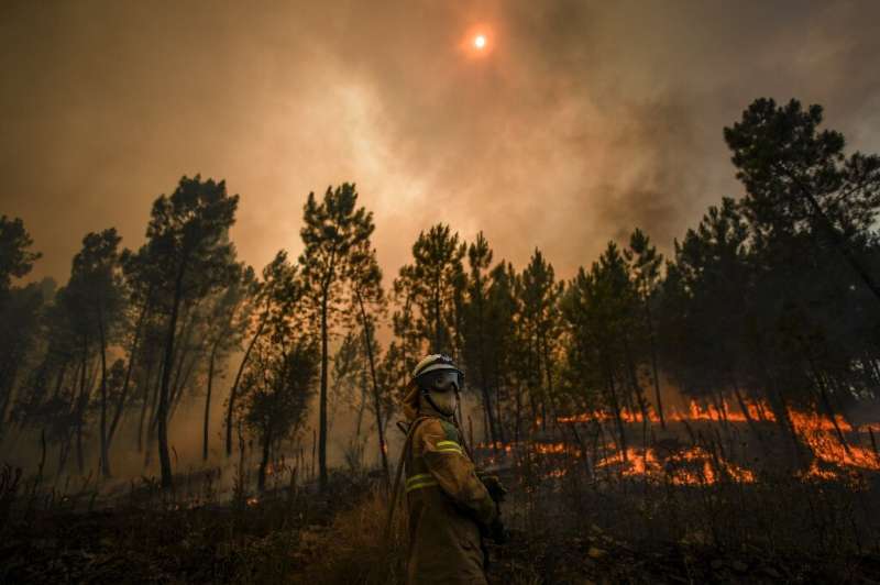 Huge wildfires have ravaged the mountainous Castelo Branco region of central Portugal