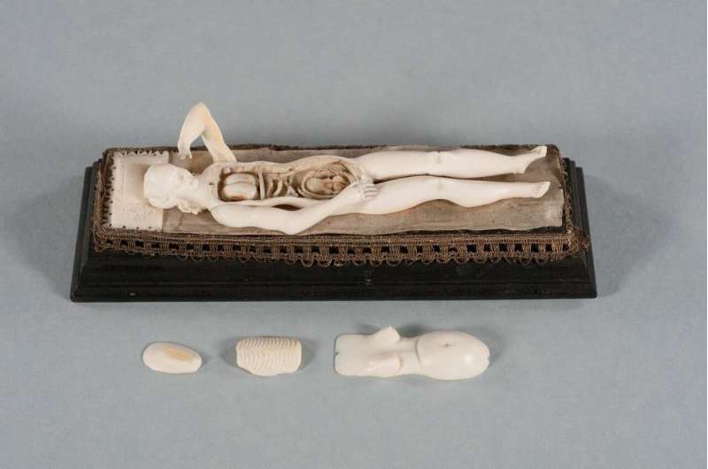 Imaging uncovers secrets of medicine's mysterious ivory manikins