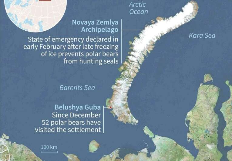 In the Novaya Zemlya archipelago, climate change and new infrastructure projects are bringing humans and polar bears into confli