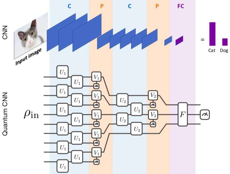 Introducing quantum convolutional neural networks