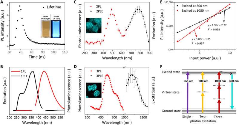 Iron Selenide (FeSe) quantum dots for in vivo multiphoton biomedical imaging