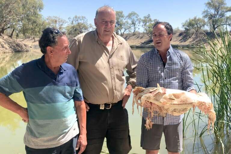 Jeremy Buckingham (R) holds a decades-old native Murray cod, which was killed during a massive fish kill in Menindee on the Darl