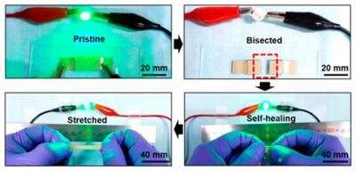 KIST-Stanford team develops new material for wearable devices able to restore conductivity