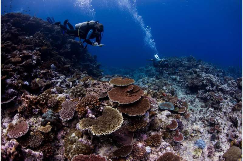 Largest-ever study of coral communities unlocks global solution to save reefs