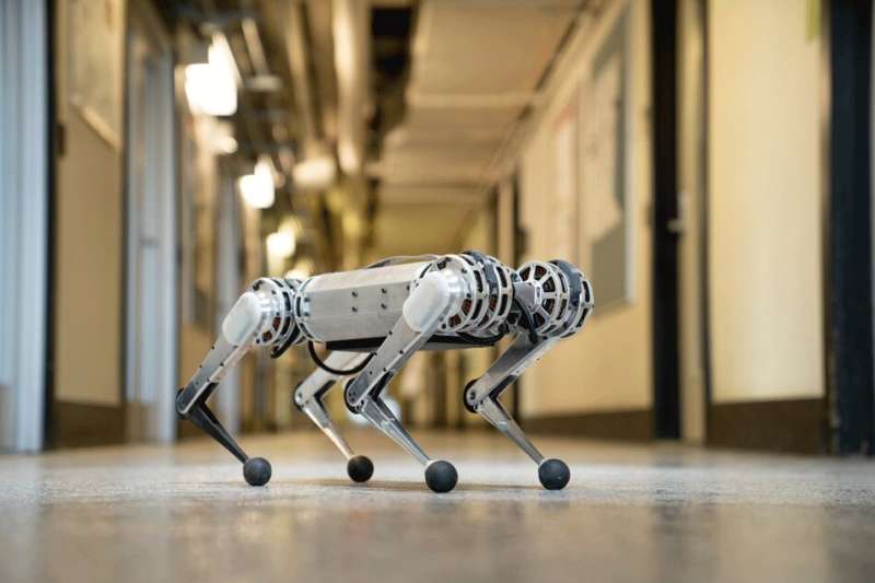 Limber mini cheetah robot delivers impressive backflip performance