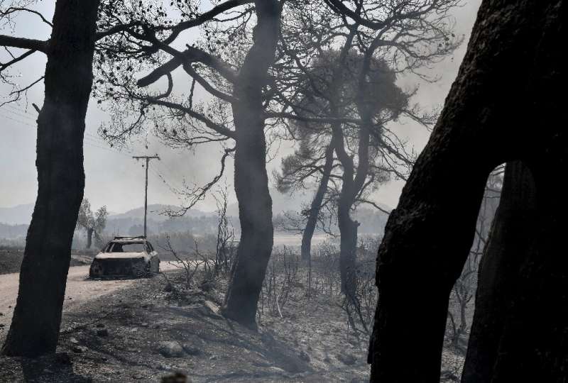Local officials spoke of 'total destruction' of the forest with the fire still active