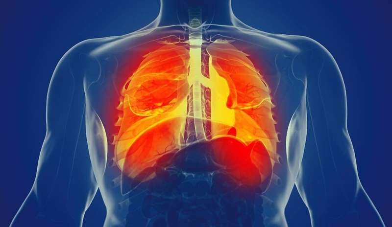 Mechanical forces impact immune response in the lungs