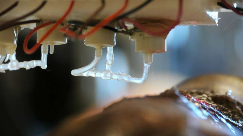 Mobile bedside bioprinter can heal wounds